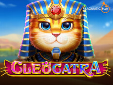 Çarkıfelek çevirme. Free casino slots online.11